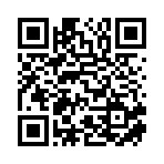 武冈市扬眉劳务有限公司移动站二维码