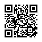 武冈市里冲建筑安装有限公司移动站二维码