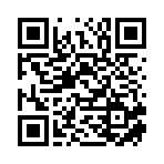 武冈市管英服饰有限责任公司移动站二维码