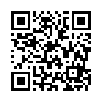 桦南县桦亮网络科技有限公司移动站二维码