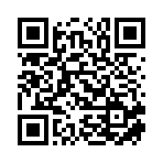 桐柏县博泰新材料科技有限公司移动站二维码