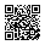 临泉县伟盈劳务有限公司移动站二维码