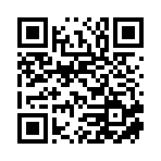 新宁县安然项目管理有限公司移动站二维码