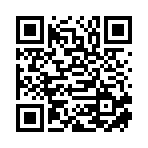 德州掌银信息科技有限公司移动站二维码