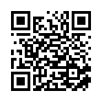临武县鼎盛新能源科技有限公司移动站二维码