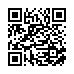 衡阳市册俊贸易有限公司移动站二维码