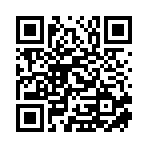 师宗大洋芋二手车有限公司移动站二维码