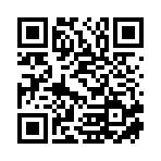 文成智行方进出口有限公司移动站二维码