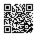 镇平县天迪文化传媒有限公司移动站二维码