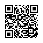 上海琪梓桐网络技术有限公司移动站二维码