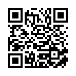 辉县市展艺工艺品有限公司移动站二维码