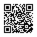 南宁市仕呈网络科技有限公司移动站二维码
