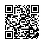 绿春闪凝商贸有限公司移动站二维码