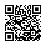 派链工坊（东莞）电子商务有限公司移动站二维码