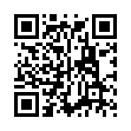 温州港湾工程咨询有限公司移动站二维码