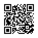 山东丰碧商贸有限公司移动站二维码