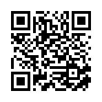 平阳边城网络科技有限公司移动站二维码