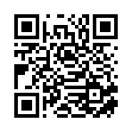 文安县千炎木业有限公司移动站二维码