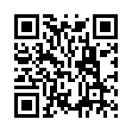 叶县飞诉咨询服务有限公司移动站二维码