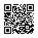 桦南县祥运信息咨询有限公司移动站二维码