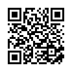 九江澜潇冰信息科技有限公司移动站二维码