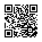 青岛双龙环球网络科技有限公司移动站二维码