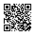 益阳市赫山区笙伽商贸有限公司移动站二维码