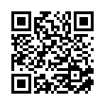 上海海丁顿智能科技有限公司移动站二维码