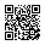 深圳市归国货运代理有限公司移动站二维码