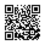 深圳市盛斌网络有限公司移动站二维码
