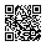 新化县恩译电子商务有限公司移动站二维码
