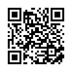 武汉四新数字科技有限公司移动站二维码