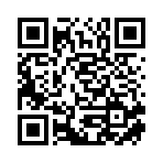 新宁县晏秋科技有限公司移动站二维码