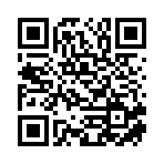 上海平宜胜信息咨询有限公司移动站二维码