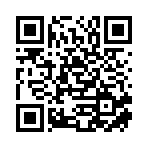 盘锦大飞严选商贸有限公司移动站二维码