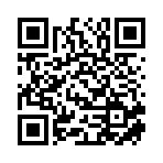 枣庄台儿庄区巷往旅游科技有限公司移动站二维码