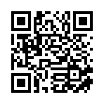 丽水风歇信息科技有限公司移动站二维码