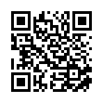 公安县长宏艺术培训有限公司移动站二维码