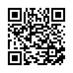 靖安县伟浩文旅有限公司移动站二维码