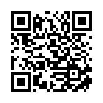 上海睿瞰元策信息科技有限公司移动站二维码