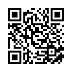 爱宁（临沂）新能源有限公司移动站二维码