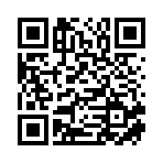 滨州鸿新国际贸易有限公司移动站二维码