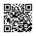 镇平县韵启工艺品有限公司移动站二维码