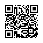 长沙市大玩家互联网科技有限公司移动站二维码