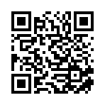 邵阳燃刻玩具有限公司移动站二维码