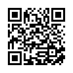 湖南炫扬汇盈贸易有限公司移动站二维码