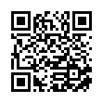 东阳市鼎辰包装制品有限公司移动站二维码