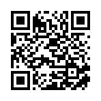 宁波骐亦国际贸易有限公司移动站二维码