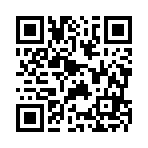 惠民县城岳工艺品有限公司移动站二维码