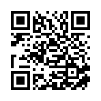 山东天空炬龙环保有限公司移动站二维码